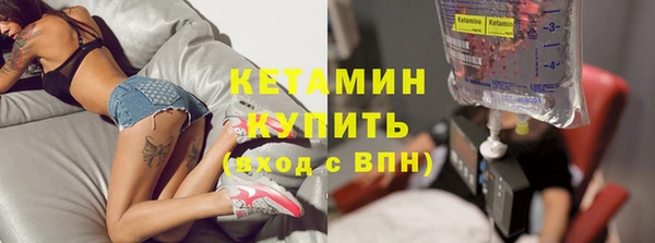 прущие грибы Дмитриев
