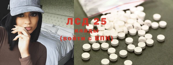 прущие грибы Дмитриев