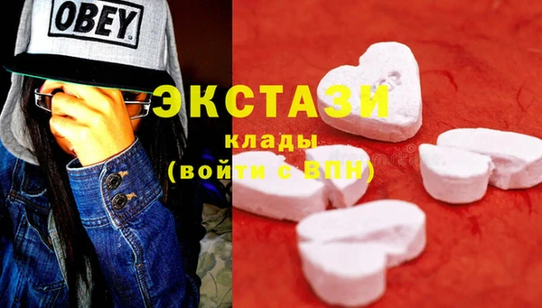 прущие грибы Дмитриев