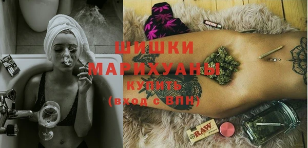 прущие грибы Дмитриев