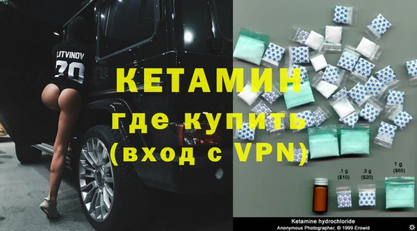 прущие грибы Дмитриев
