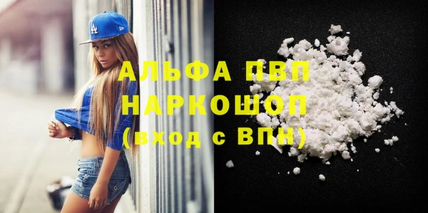прущие грибы Дмитриев