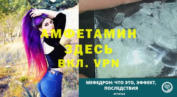 прущие грибы Дмитриев